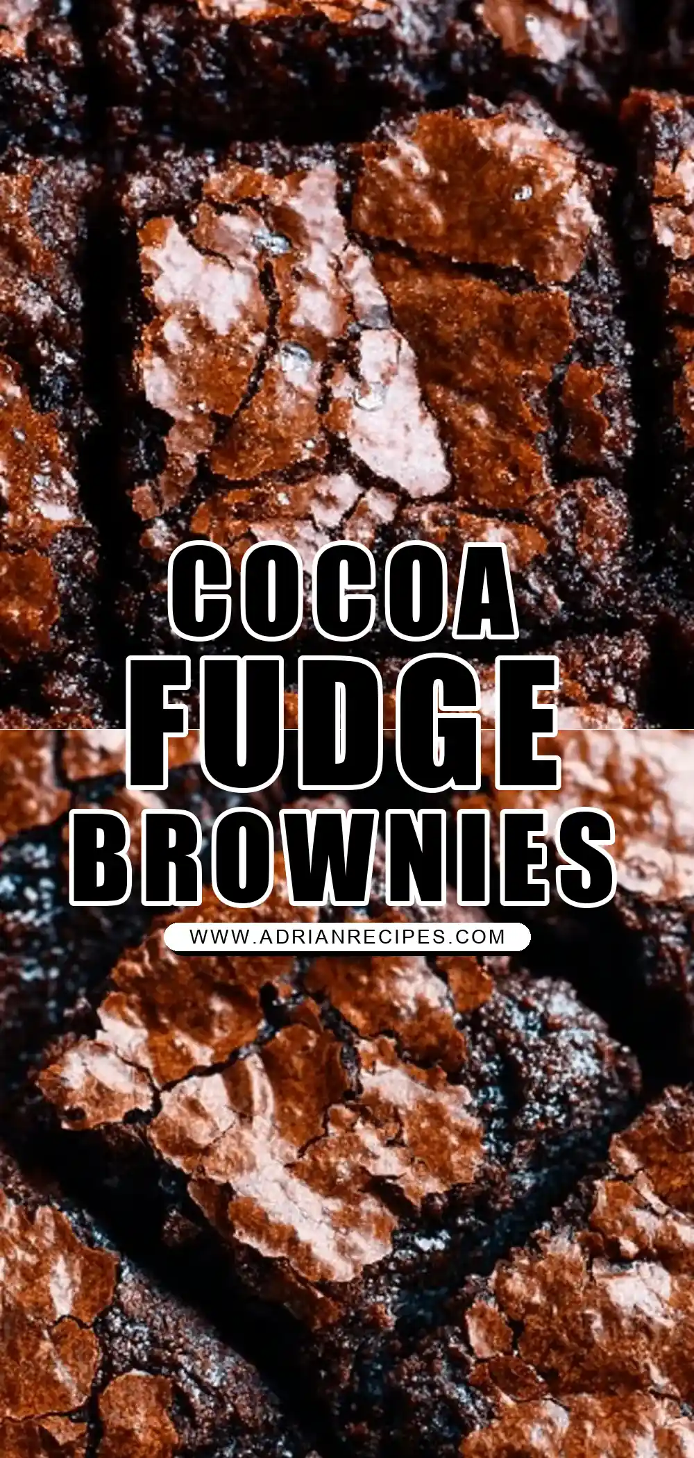 The Best Cocoa Fudge Brownies