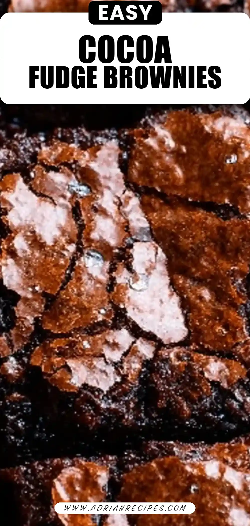 The Best Cocoa Fudge Brownies