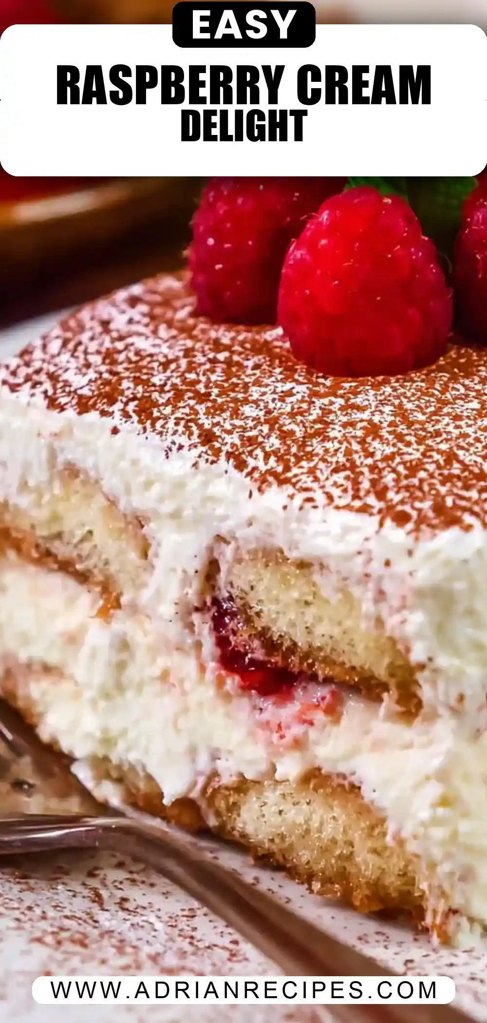 Raspberry Tiramisu