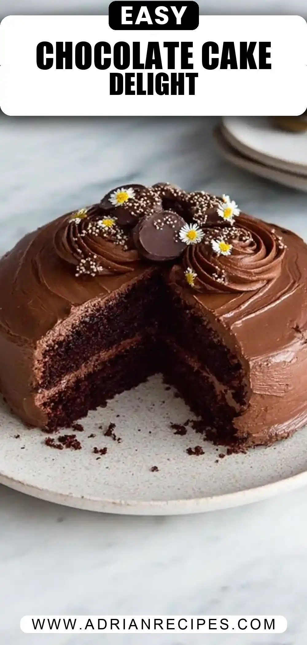 Egg Free Chocolate Cake