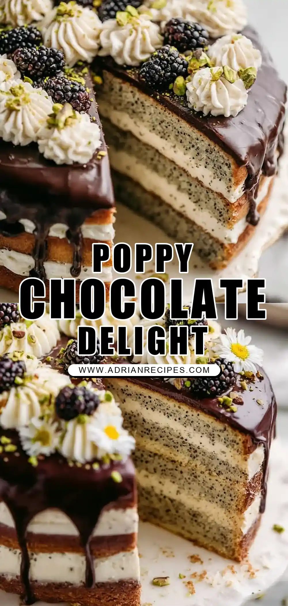Poppy Seed Cake with Chocolate Ganache