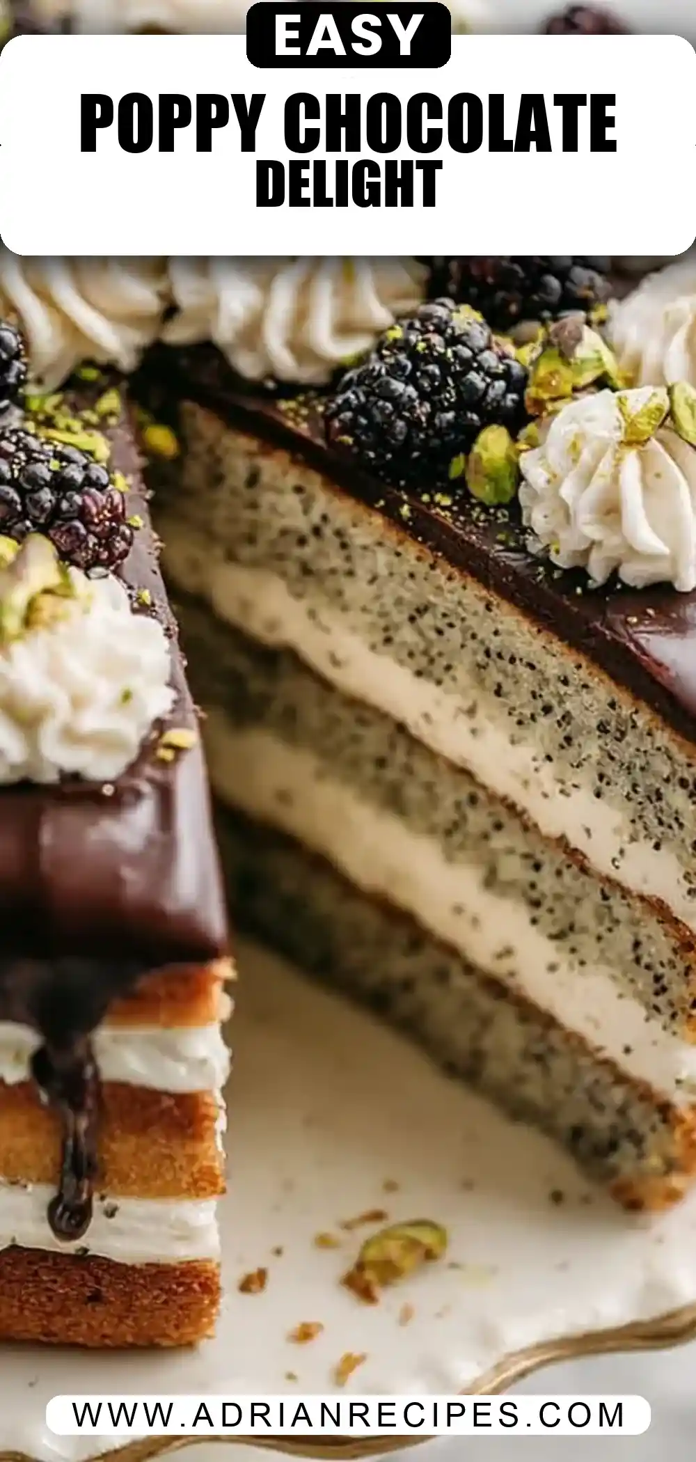 Poppy Seed Cake with Chocolate Ganache