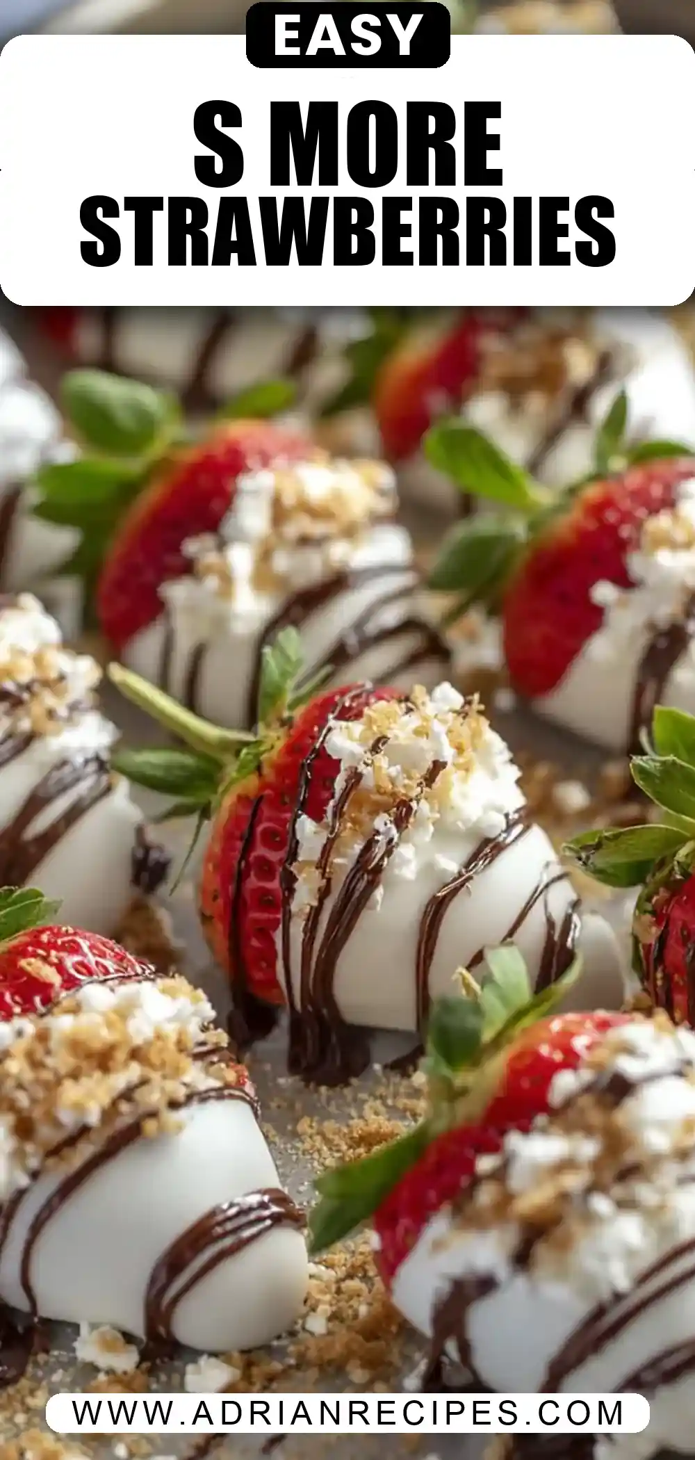 S’more Dipped Strawberries Recipe