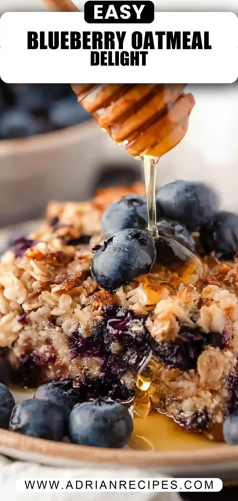 Blueberry Baked Oatmeal
