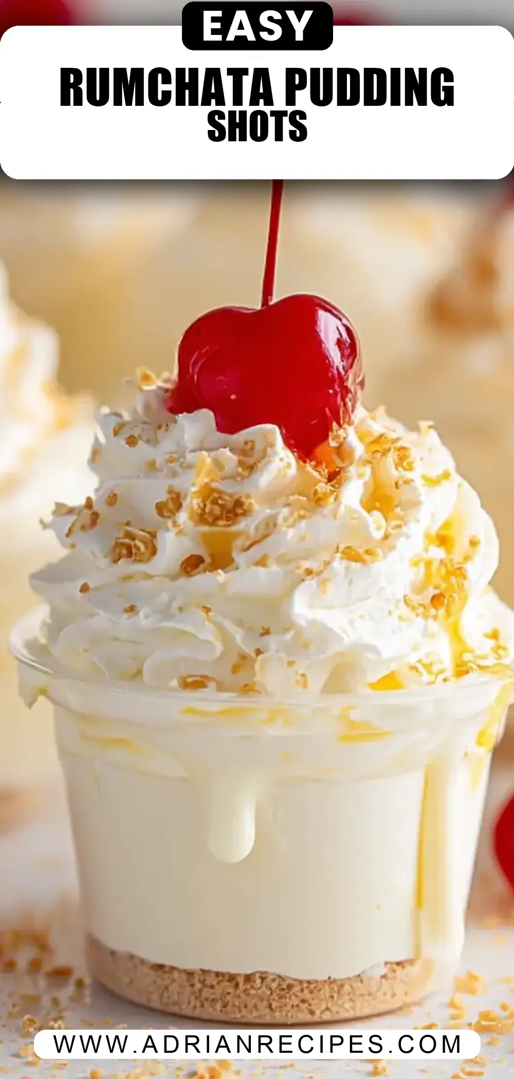 RumChata Cheesecake Pudding Shots